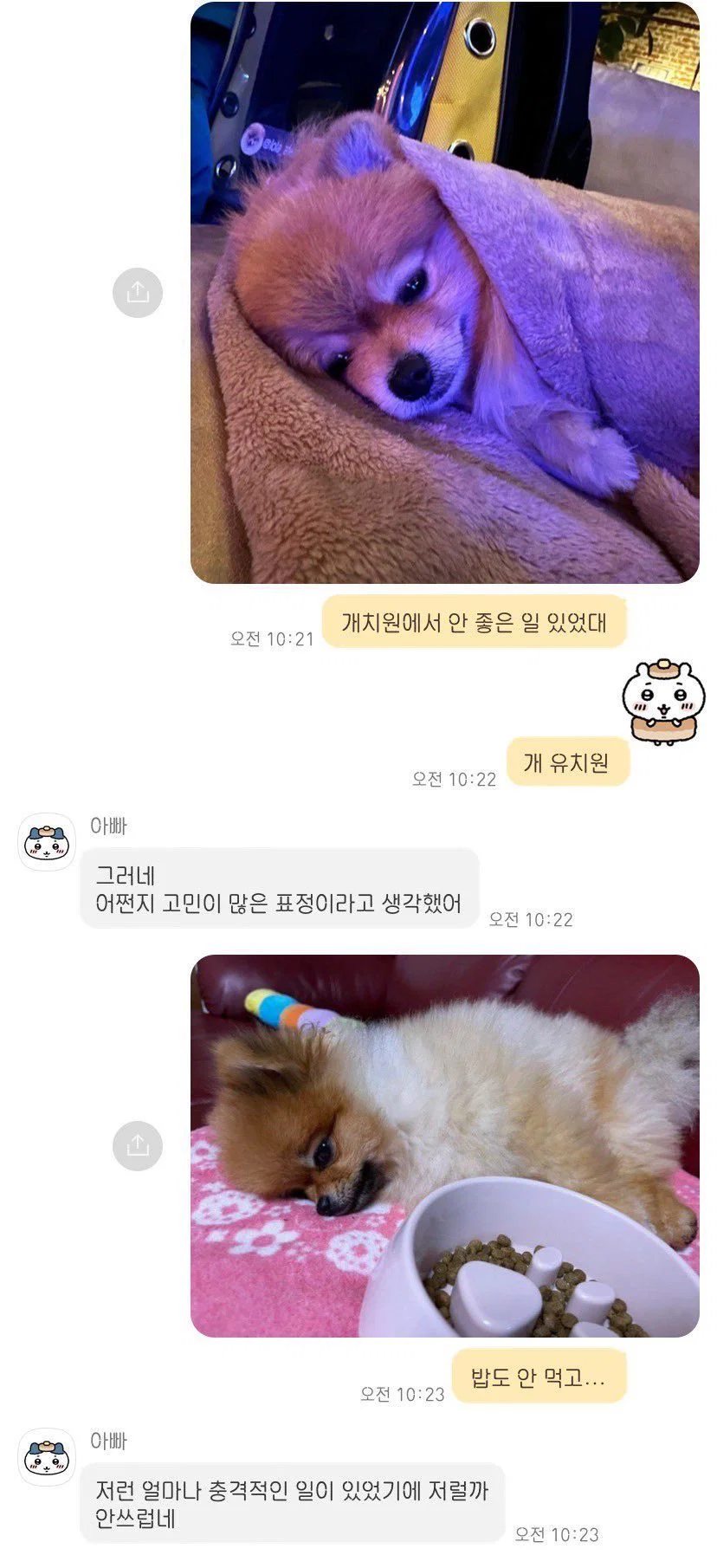 개치원에서 안 좋은 일 있었대..
