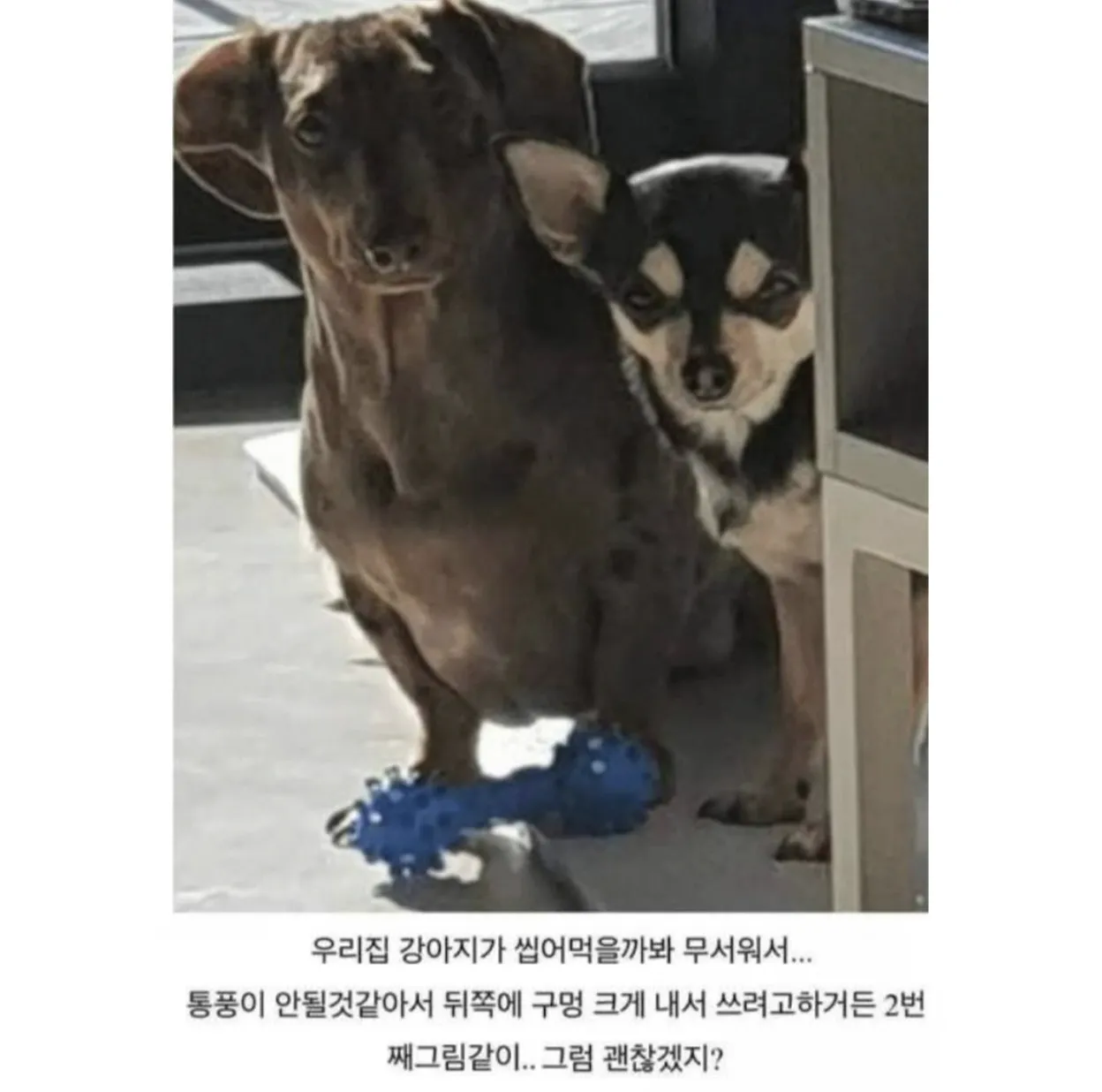 게임기를 숨기려고 하는 이유 (2)