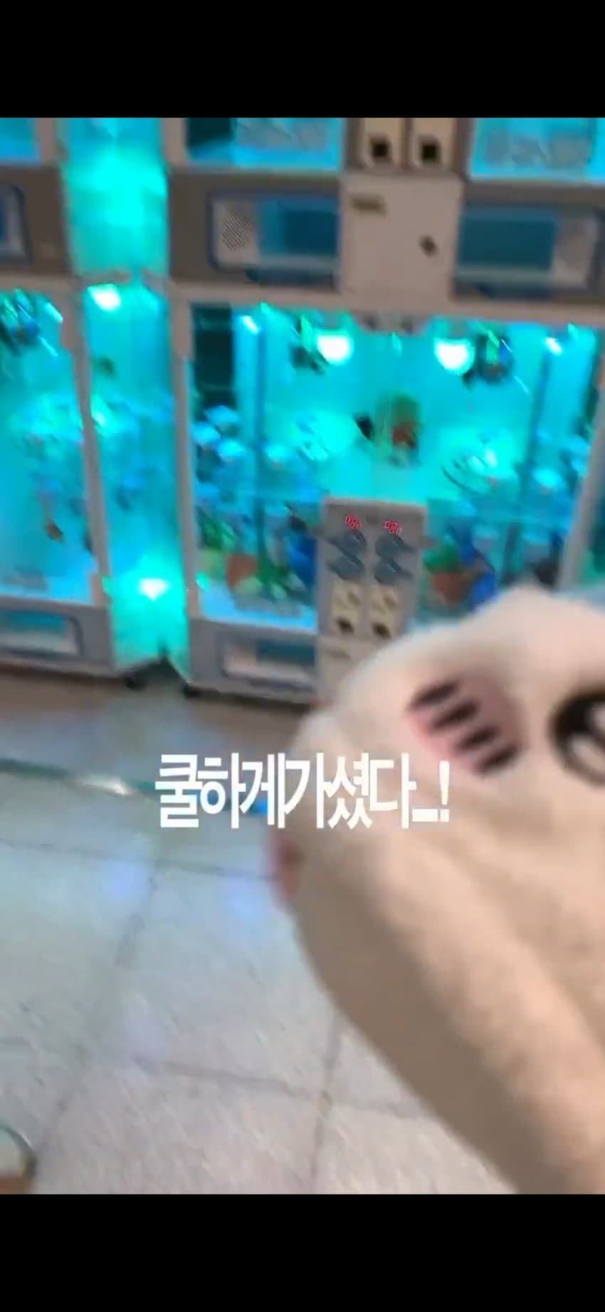 한국인이 일본에서 치이카와 인형뽑기하니 훈수두는 아재 (13)