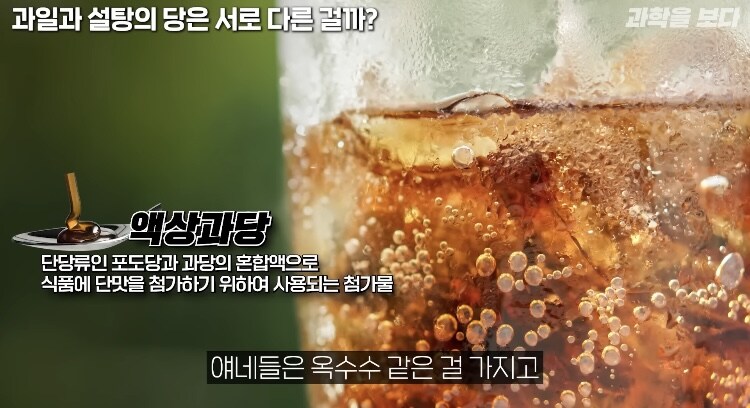 탄산음료 액상과당이 몸에 안좋은이유 (9)