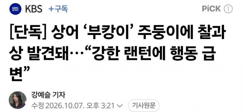 싱글벙글 부캉이 근황 (3)