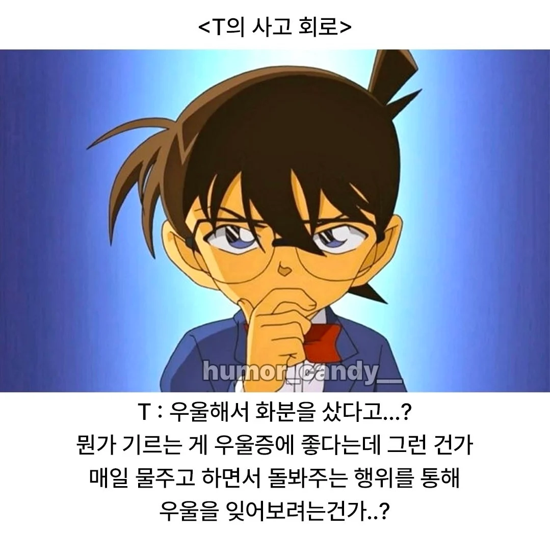 '나 우울해서 화분샀어'에 대한 T의 대답 (2)