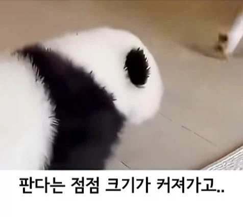 유튜브 쇼츠 AI 뇌절 대잔치 (7)