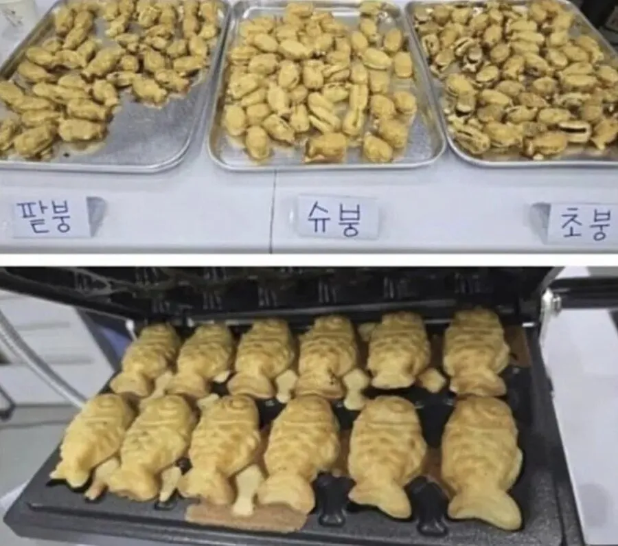 요즘 태권도장 근황
