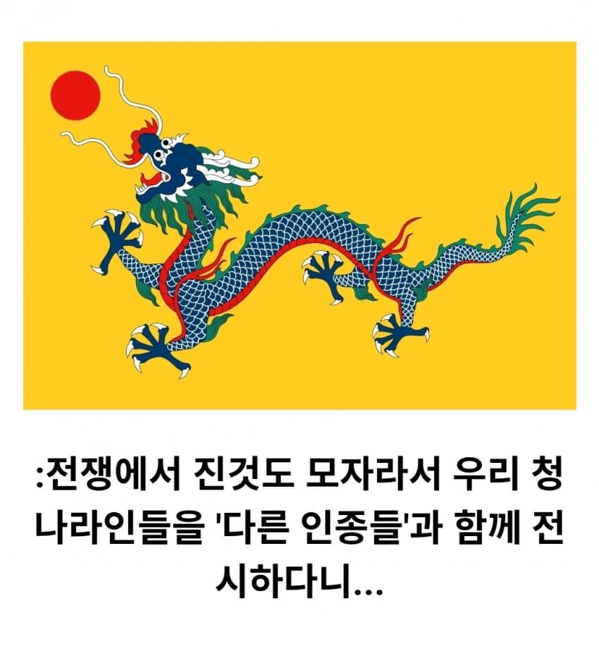싱글벙글 구한말 동아시아를 불태웠던 인류관 사건 (27)