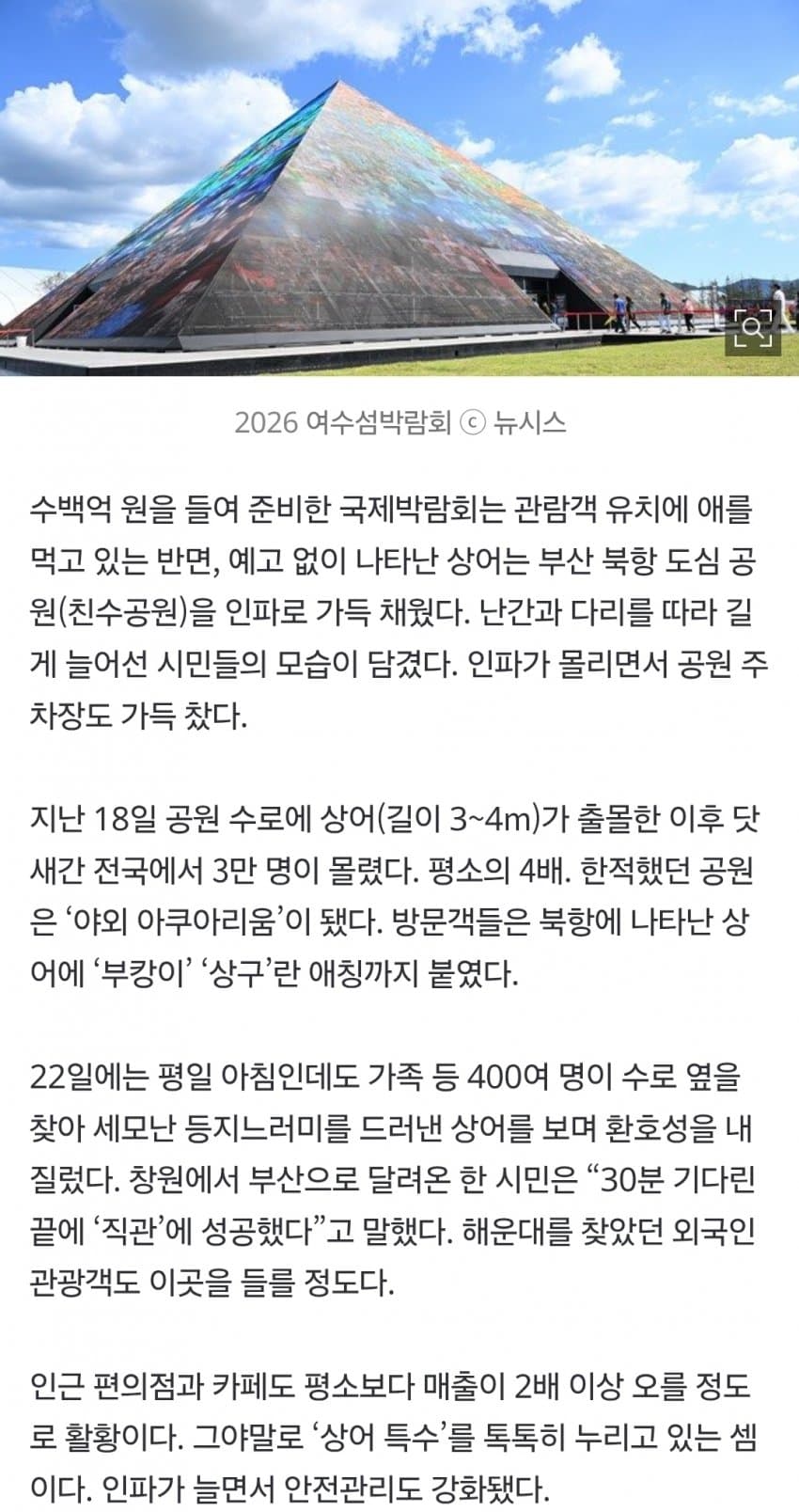 부산 상어 대항하는 1800억 여수 최종병기 등장. . (9)