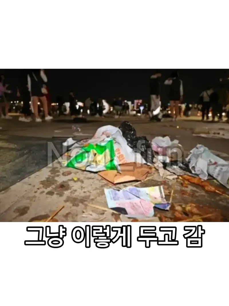 쓰레기만 남은 불꽃축제 (2)