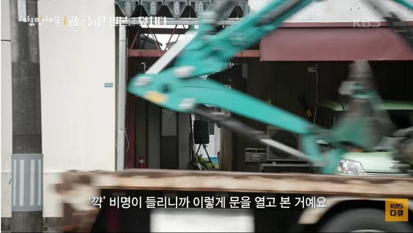 곰이 늙은 일본을 덮치다. 여고생 덮친 아키타 반달곰,, (8)