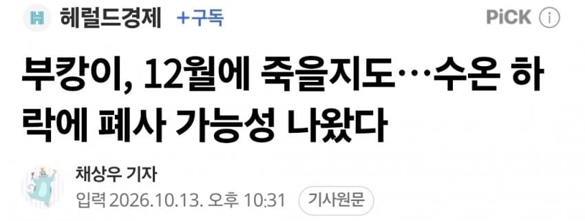 부캉이, 12월에 죽을지도…수온 하락에 폐사 가능성 나왔다
