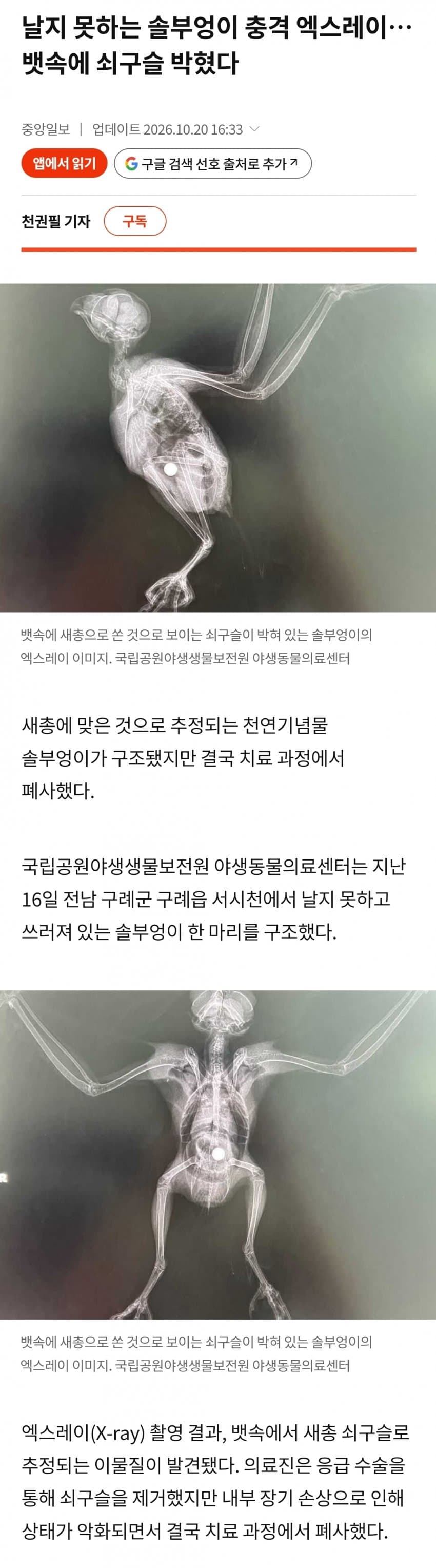 어떤새끼가 솔부엉이한테 총쐈냐 ㅅㅂ (2)