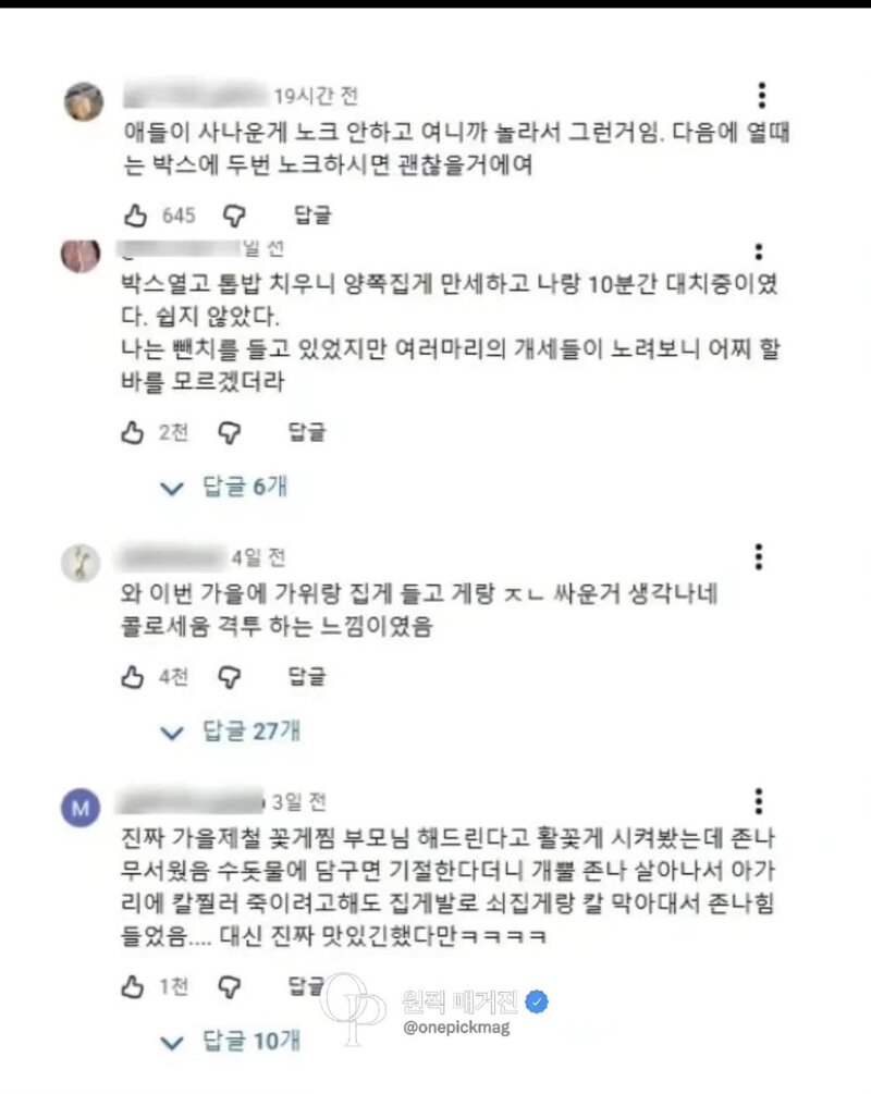 피해자들의 일관된진술 (3)