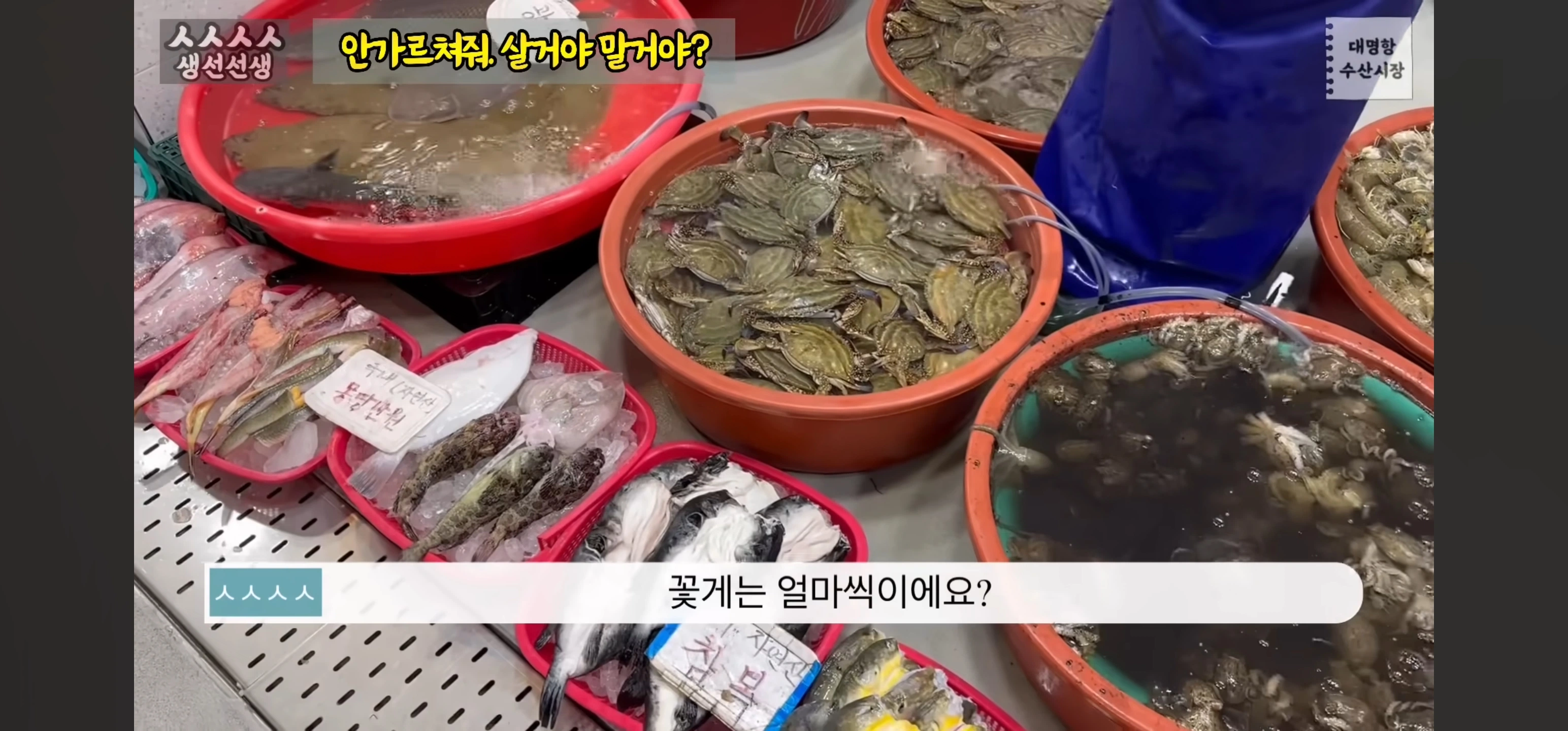 수산시장에서 가격을 물어본 결과.jpg