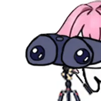 35