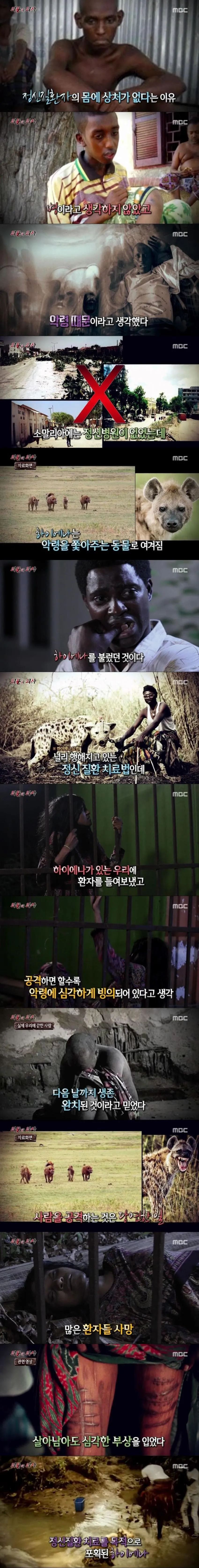 와들와들 소말리아식 정신병자 치료..jpg