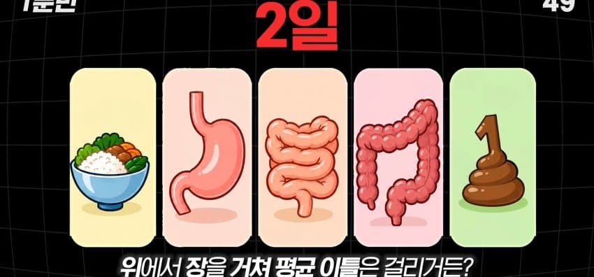 먹자마자 바로 화장실 가는 사람은 뭘까? (5)