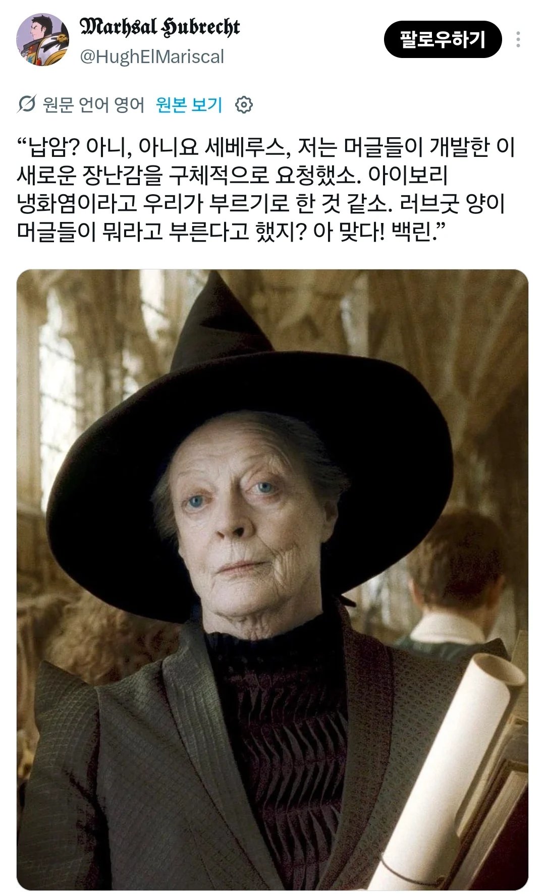 이상한 쪽으로 번지기 시작한 해리포터 밈 (6)
