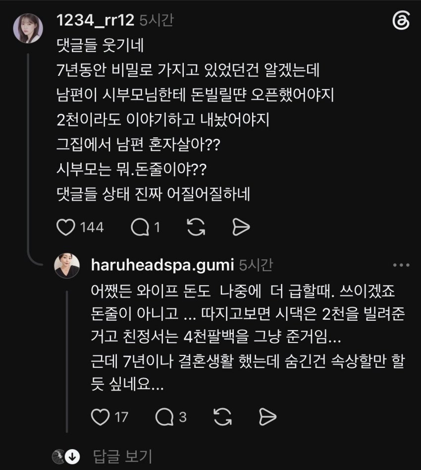비상금 4천8백 걸린 아내의 반응 및 여자 쉴드 댓글들 (10)