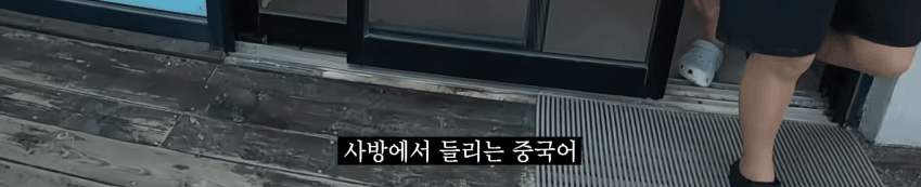 충격) 제주도 시내거리 근황 ㅋㅋㅋ