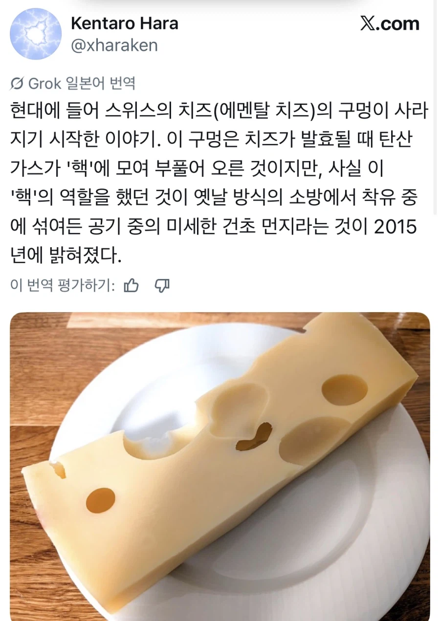 현대 치즈 구멍은 사실 인공적인것