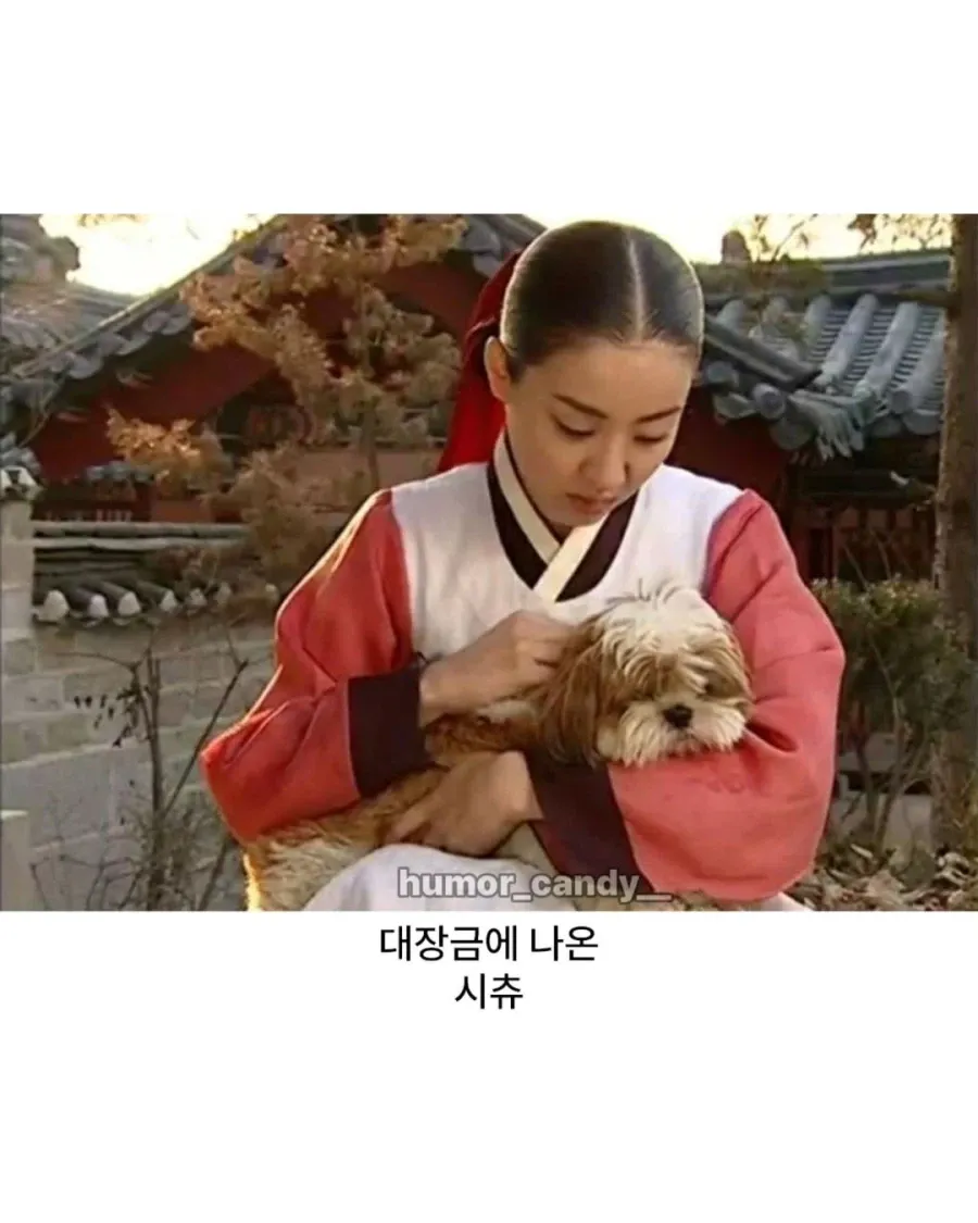 의외로 조선시대에 있었던 견종