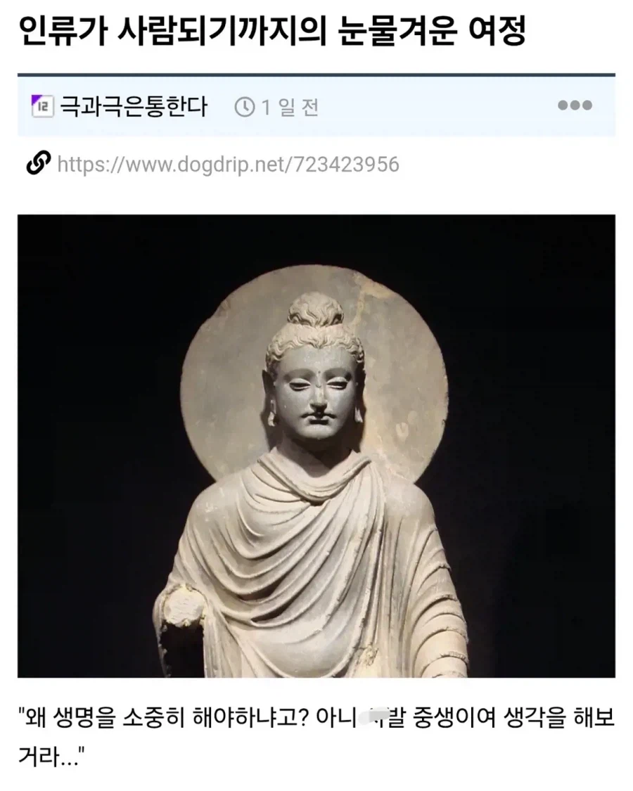 인류가 사람되기까지의 눈물겨운 여정