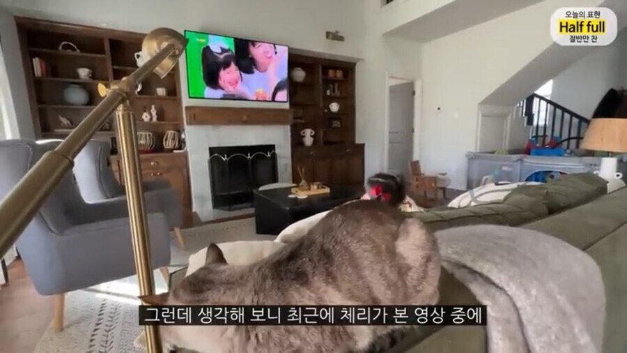 올리버쌤네 애기가 어린이집에서 혼이 난 이유 (7)