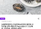 국내산 활전복 4-6미