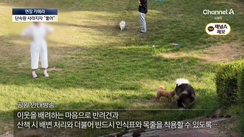 채널a) 단속원 퇴근하자...공원이 '개판' (26)