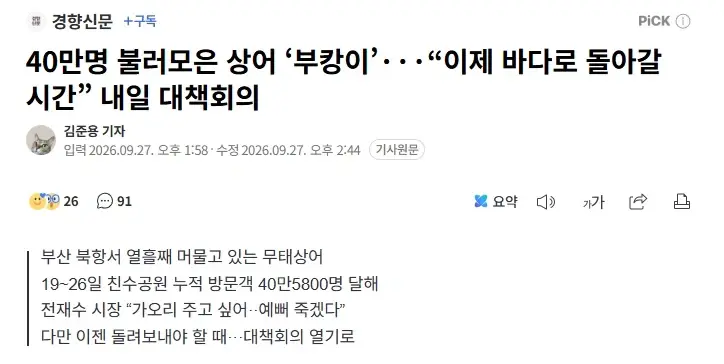 롯데 야구 근황 (2)