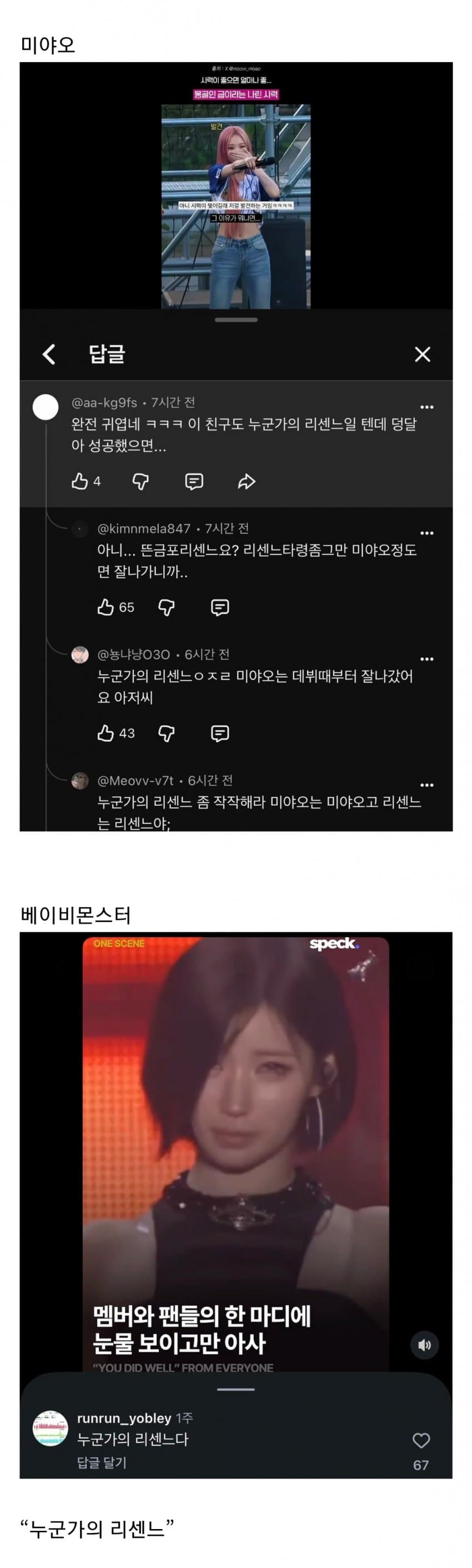 민심 돌아서게 만든 리센느 일부 팬들 댓글들 (12)