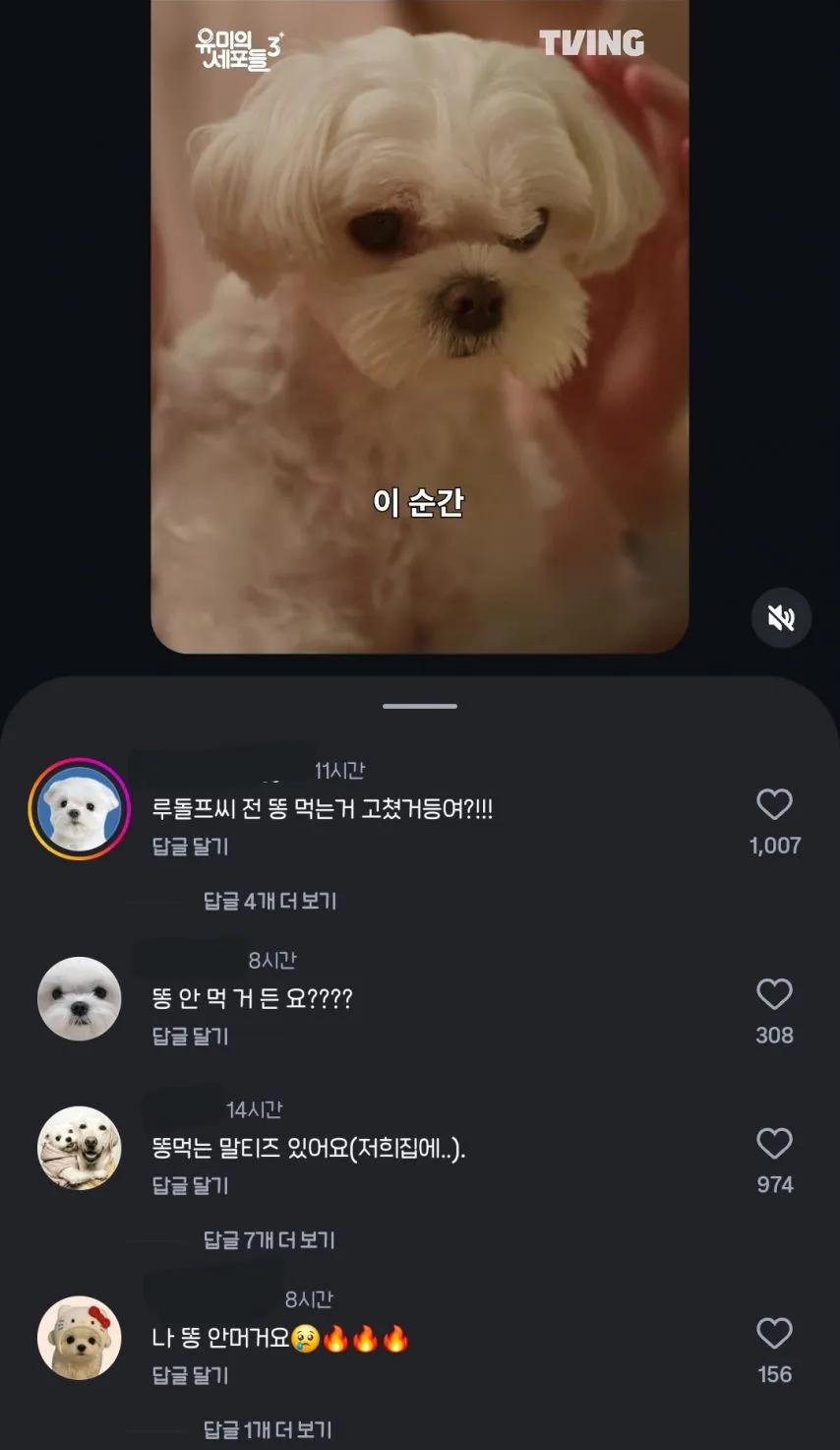 유미의 세포들 보고 전부 긁혀버린 전국 말티즈들