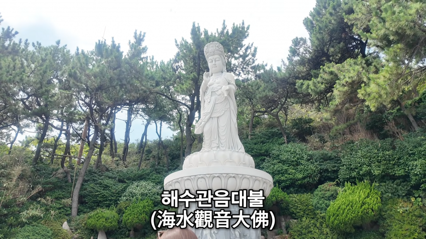 아들을 낳고 싶다는 태국인 아내 (30)