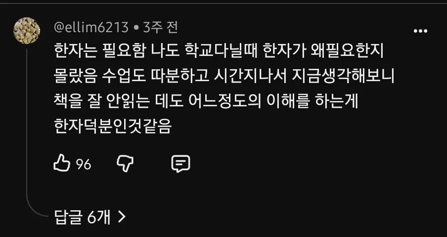 28년부터 초등 교육에 한자 교육 부활시킨다는 이유