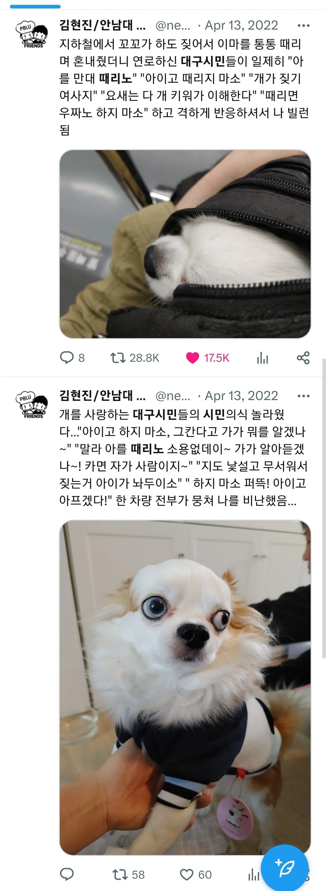 킹댕이를 사랑하는 대구시민들
