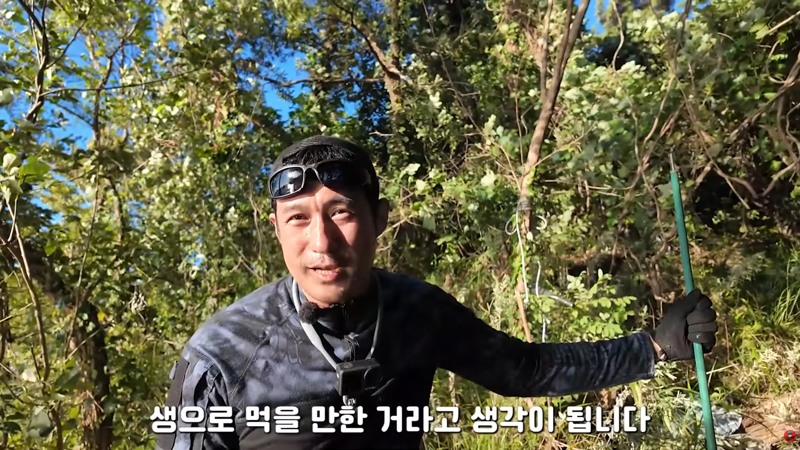 혐주의) 산왕거미를 생으로 먹어버린다는 국내 유튜버 (13)