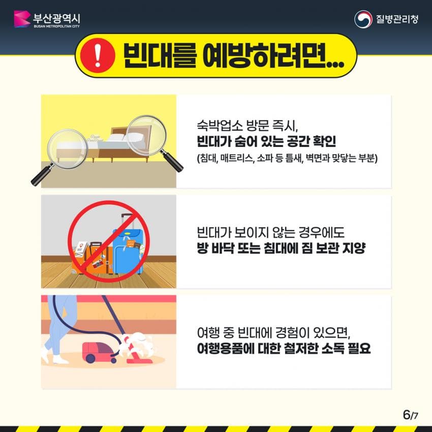 오싹오싹 부산 찜질방에 출몰해서 난리난 빈대(베드버그)상황 (50)