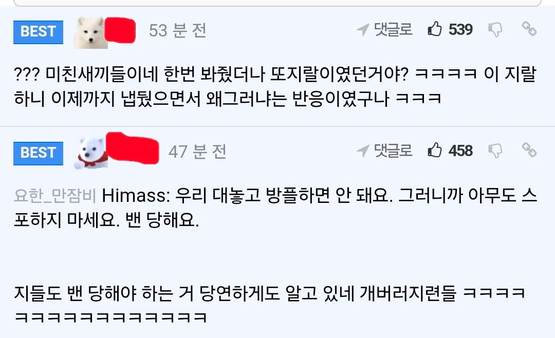 베트남애들 작년 같은대회에서도 방플함 (3)
