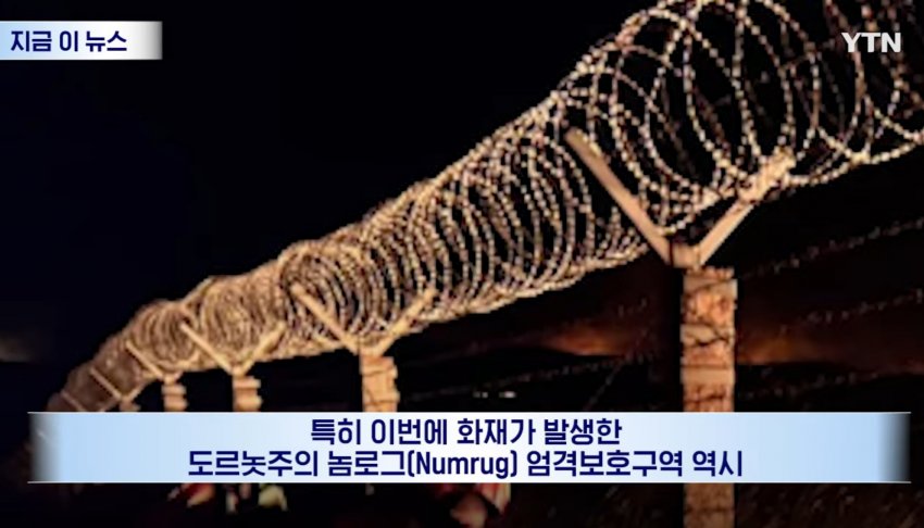 몽골 대초원에 '화르륵', 불법 낚시하려다 불낸 일본인들 (14)