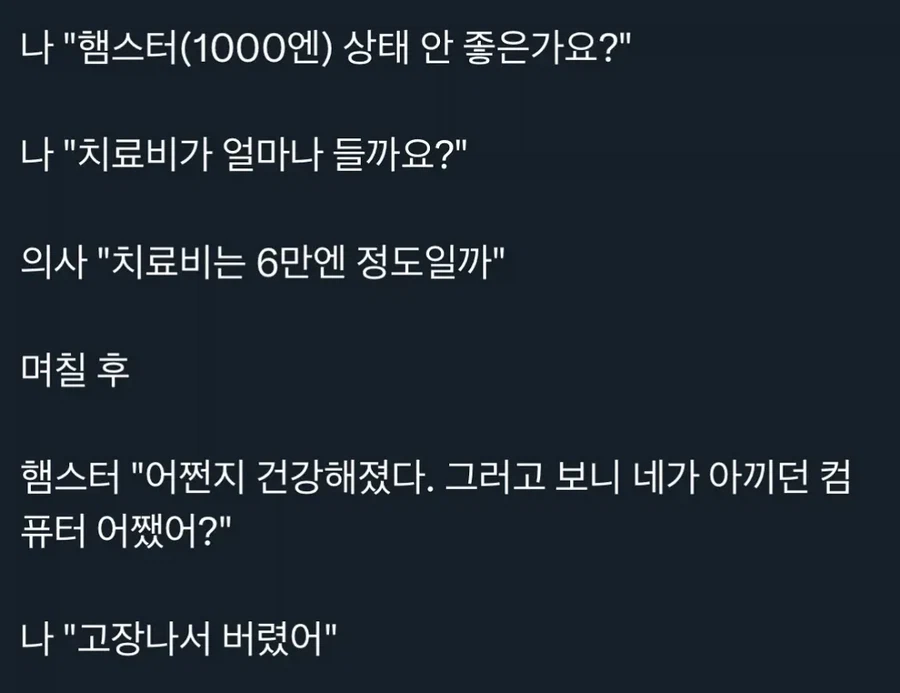 어쩐지 건강해진 햄스터_2.webp