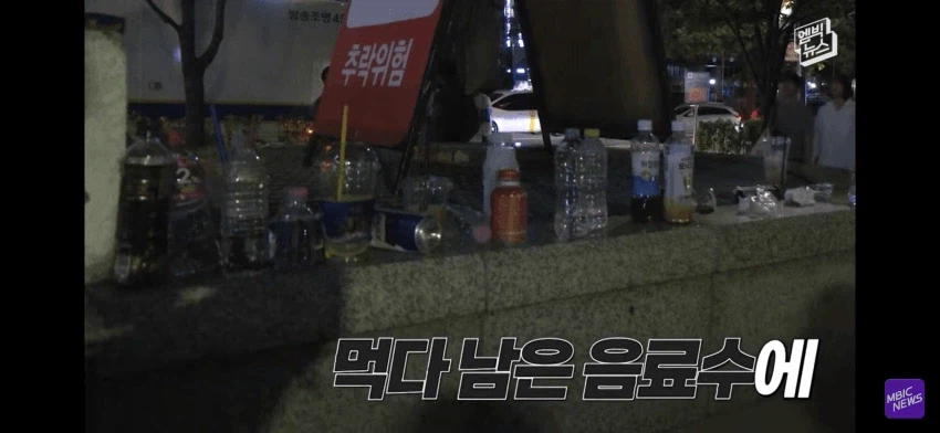 불꽃축제 일뽕 아줌마 ㄷㄷㄷㄷㄷ (3)