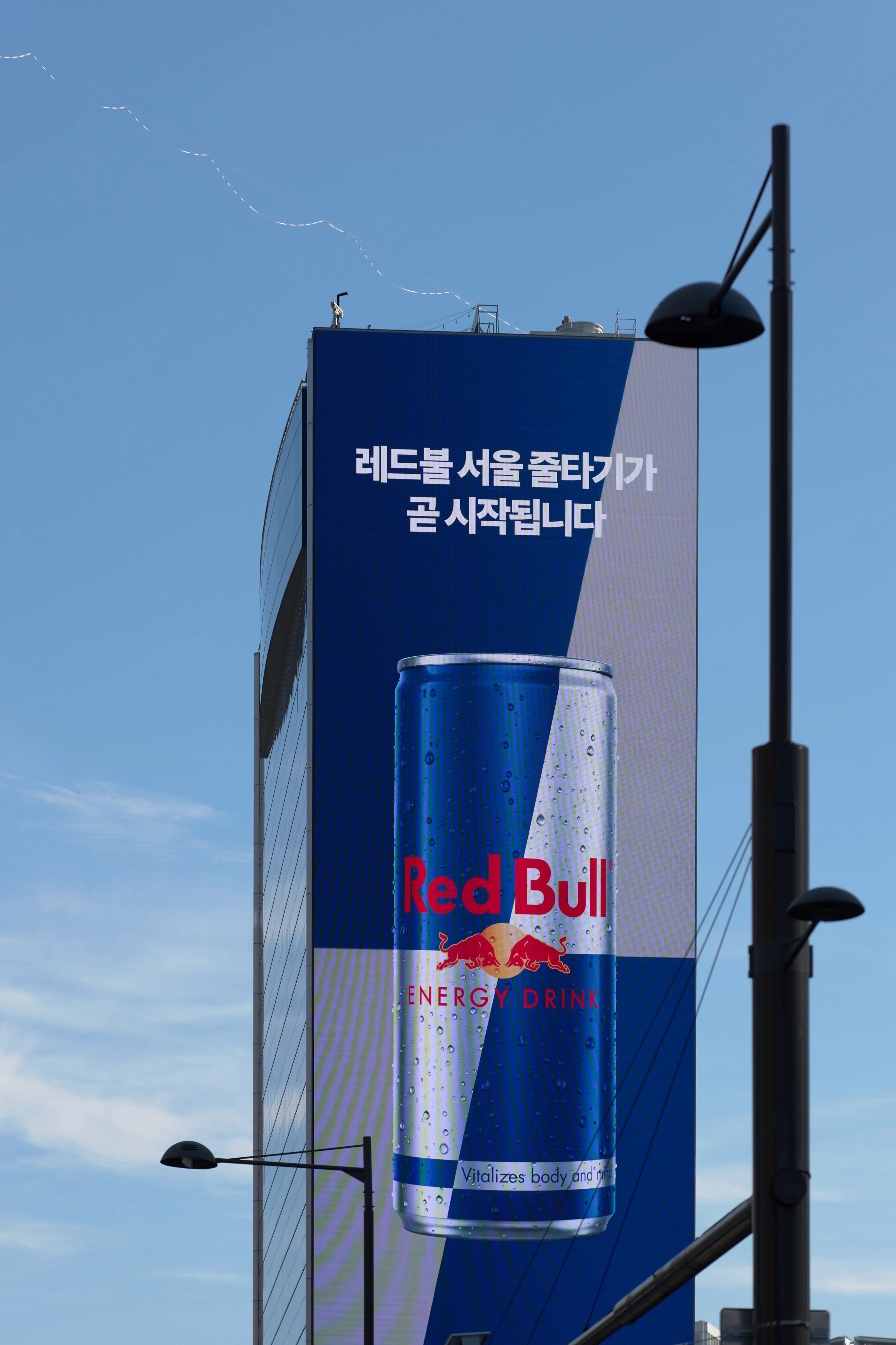 레드불 날개를 펼쳐줘요 (2)