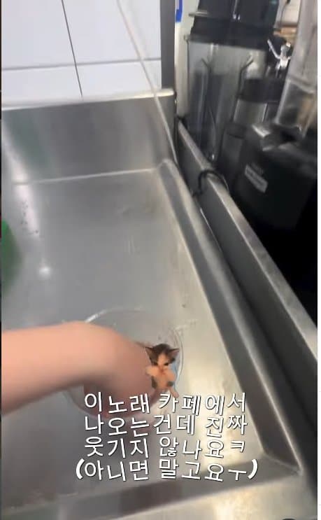 아일릿 원희 닮은07년생 한국여자 거친 호주에서  살아남기. ㄷㄷ (30)