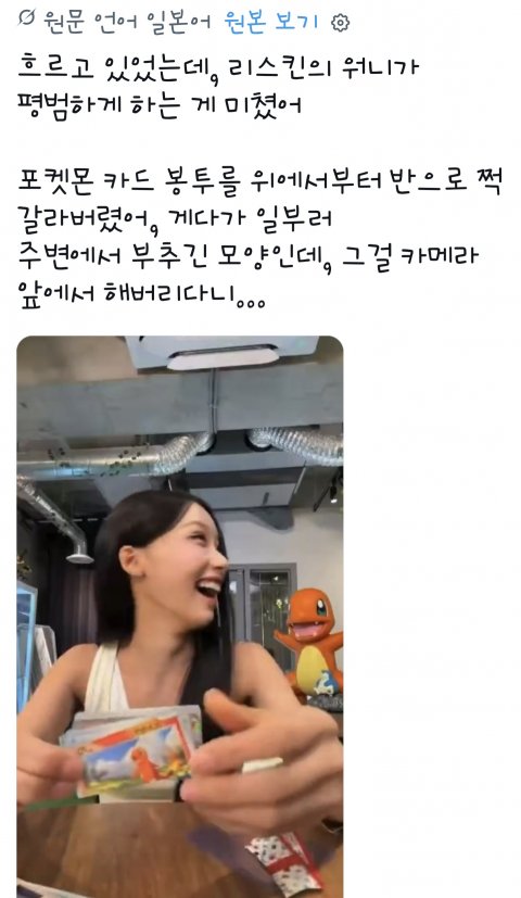 포켓몬 카드 반갈죽해서 논란이라는 리센느 일본 실시간 반응 (14)