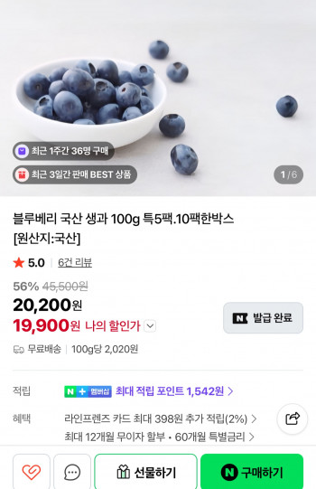 [네이버] 국산 블루베리 생과 100g 특품 5팩
