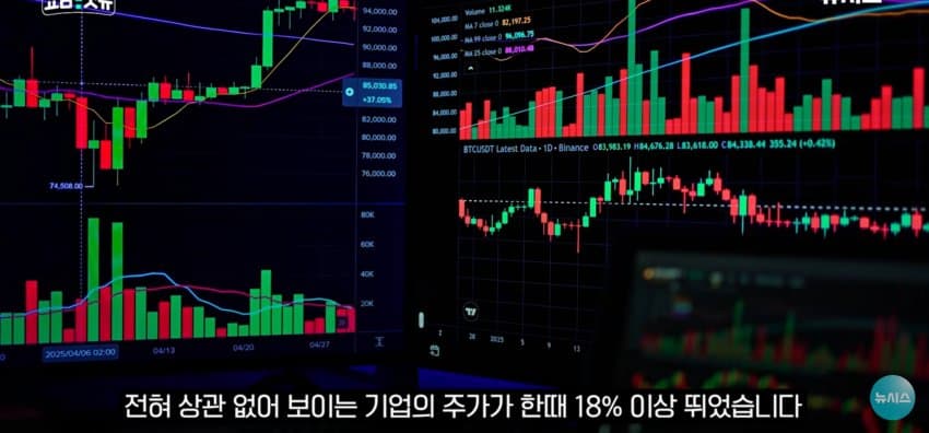 상어 한마리에 3만명 몰려, 부산 명소가 된 북항 (4)