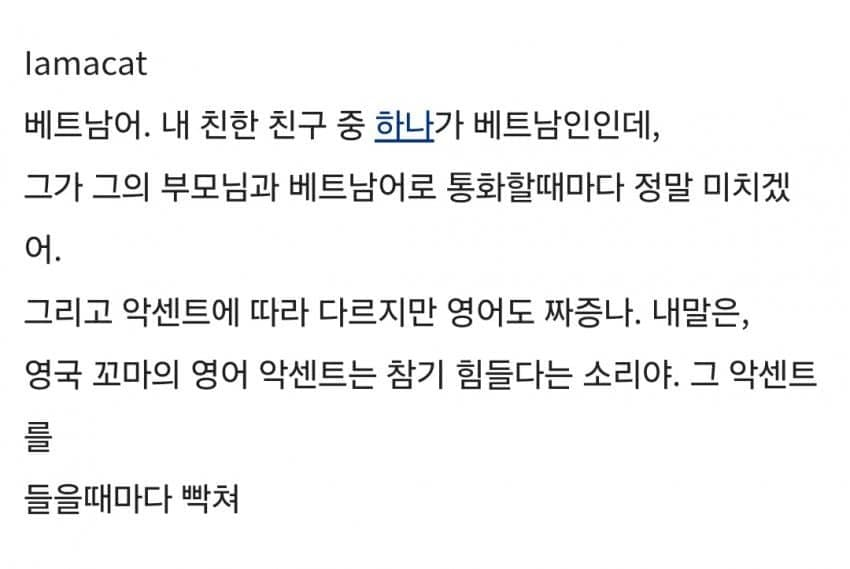 와들와들 전 세계가 충격받은 베트남어 (4)