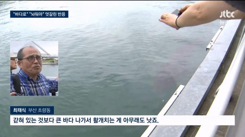 부산 상어.... 부캉이 구조 실패 ㄷㄷ...News (18)