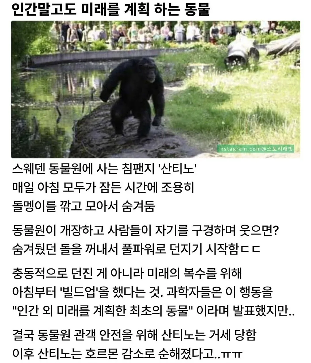 1788864633.710359.jpeg 동물이 너무 똑똑해도 안되는 이유