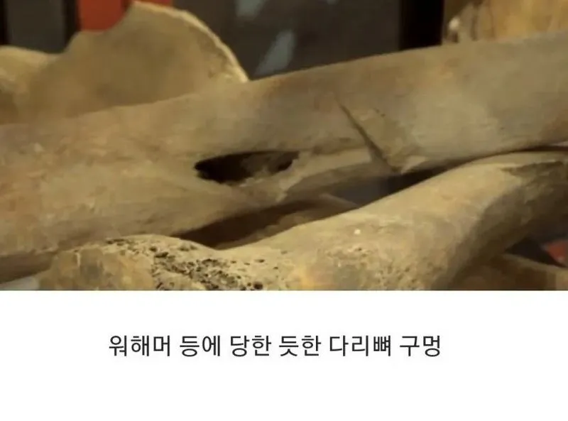15세기 영국, 병사들의 유골