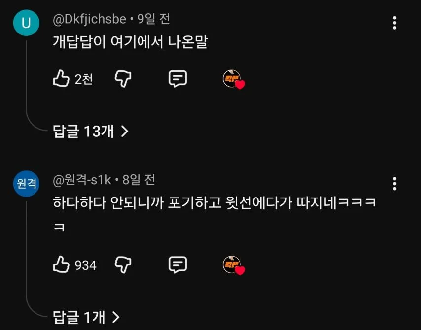 작은 집사 교육하려다 속터지는 보더콜리 반응